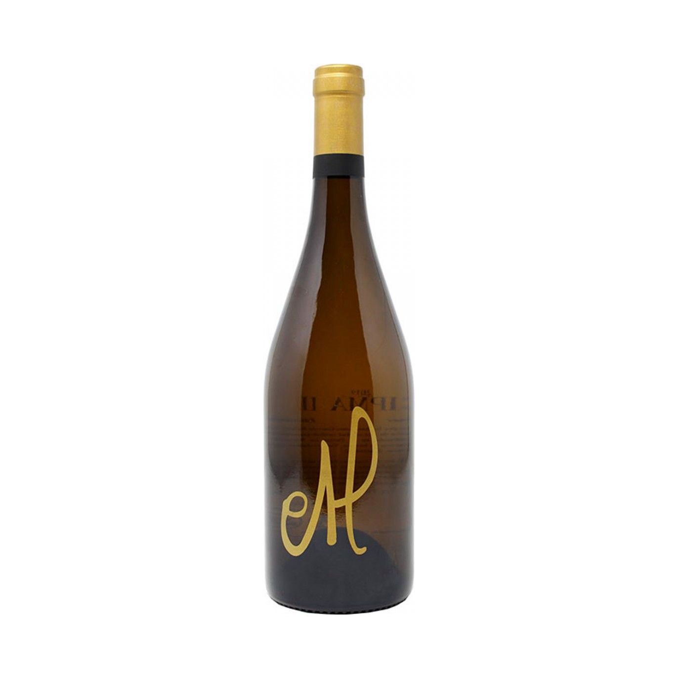 MARISOL RUBIO - CIPMA II    PEDRO XIMÉNES (PX)